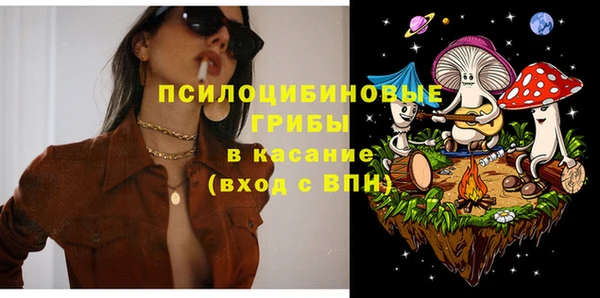 таблы Богданович