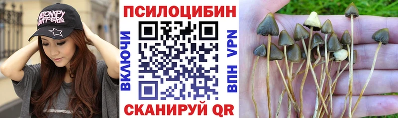 Псилоцибиновые грибы мухоморы  цены   Наро-Фоминск 